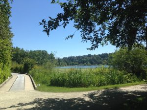 IMG_2600